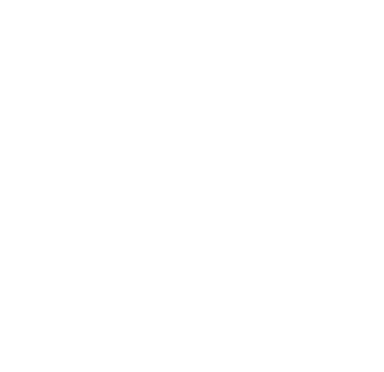 The Conscious Travel Foundation
