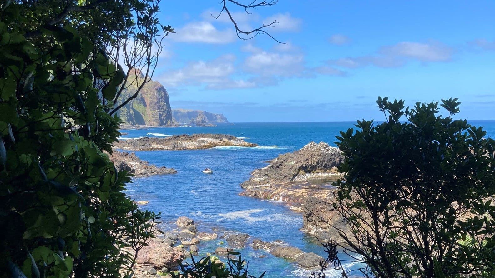 Chatham Islands