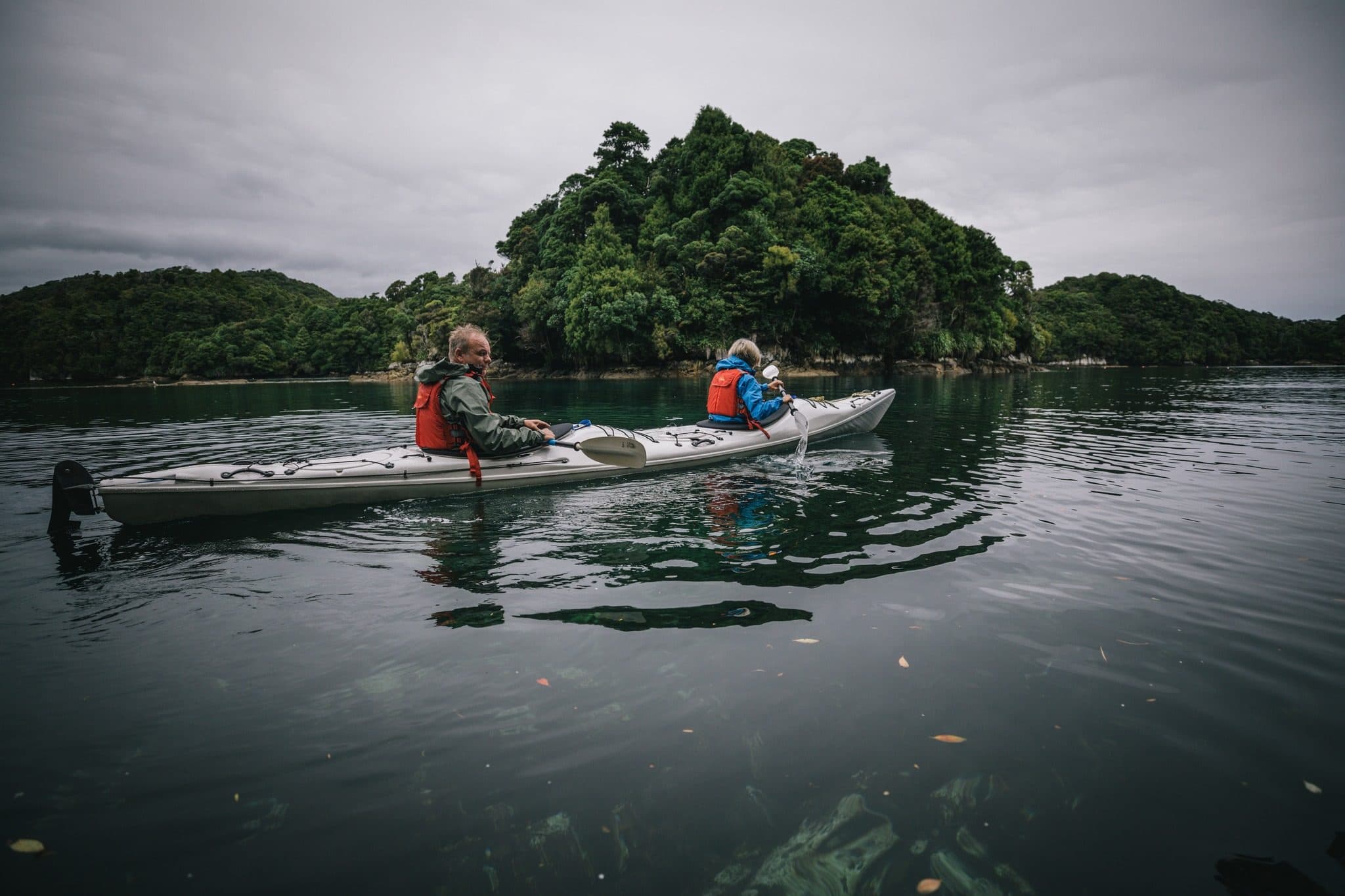 Two sea kayakers passing a forested islet in Fiordland