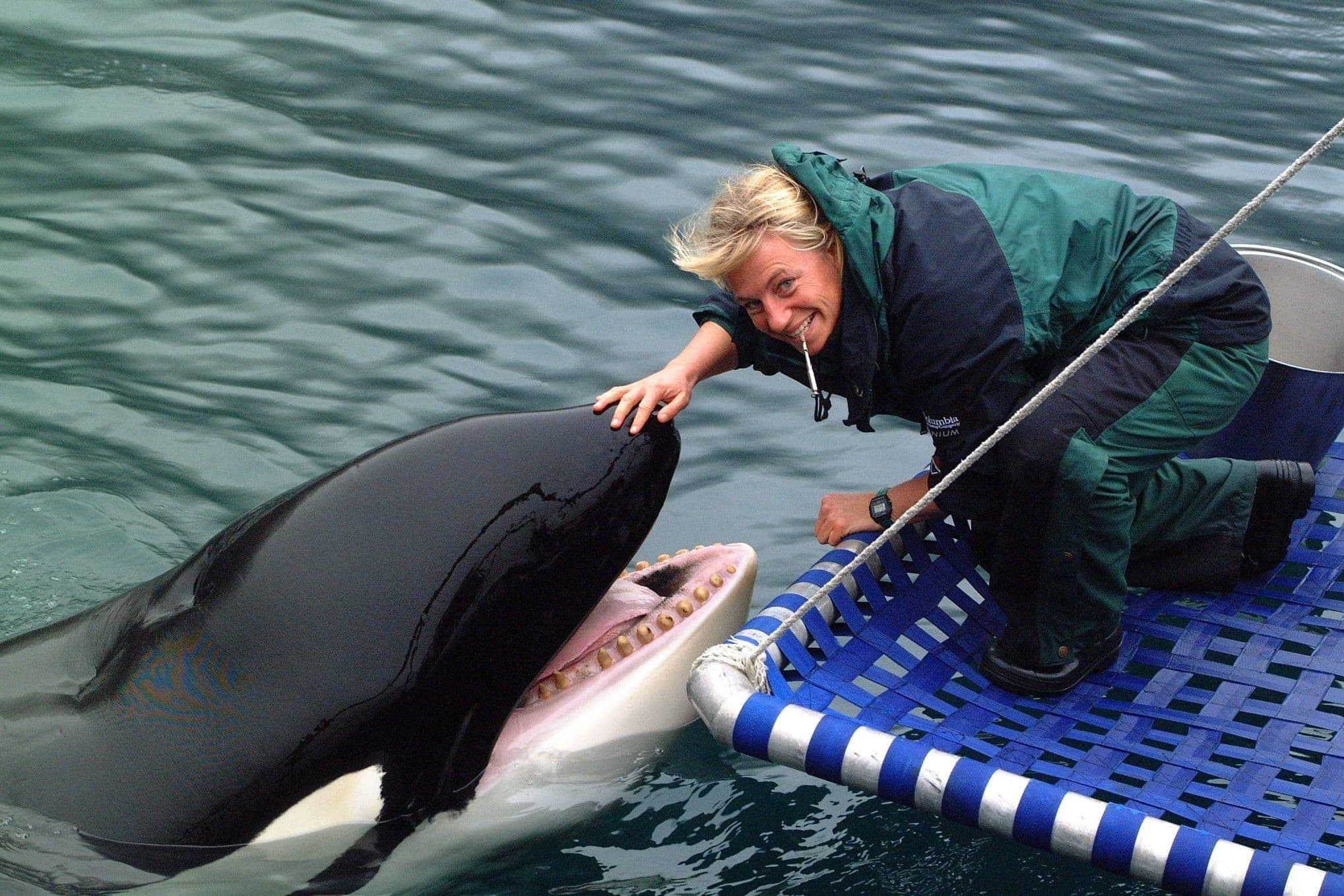 Ingrid Visser & the orca